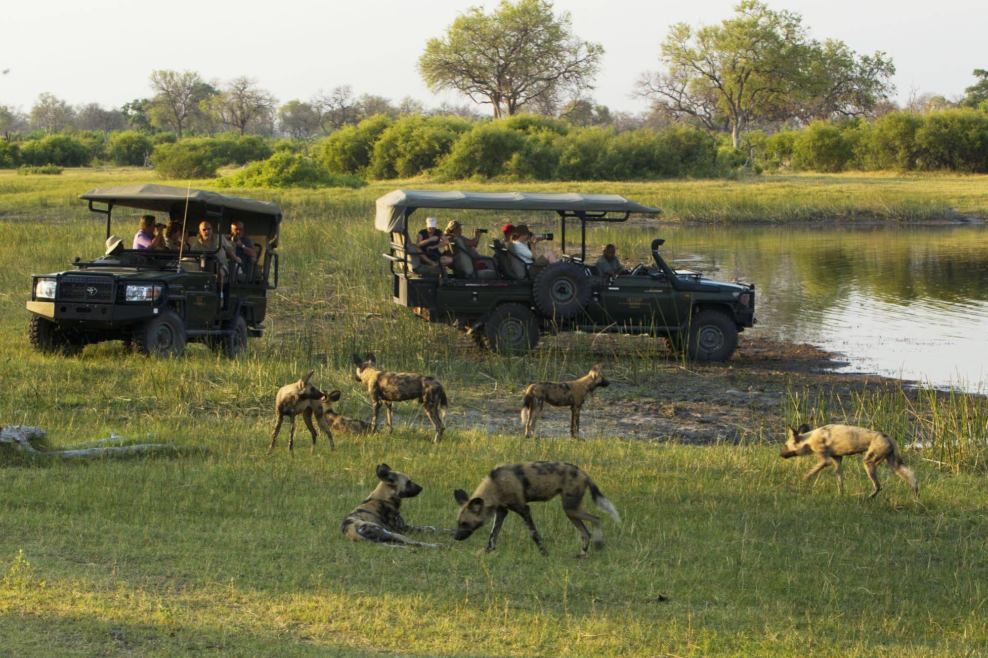 Selinda Camp Hotel Selinda Reserve Bagian luar foto
