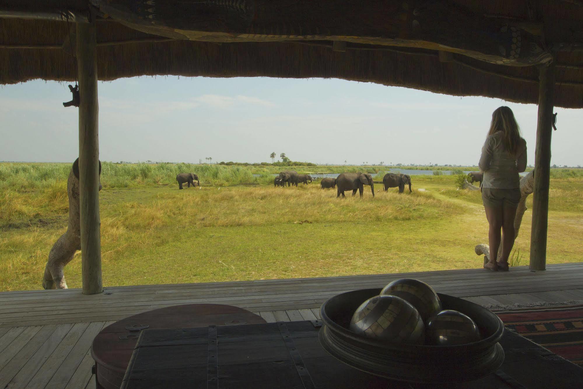 Selinda Camp Hotel Selinda Reserve Bagian luar foto