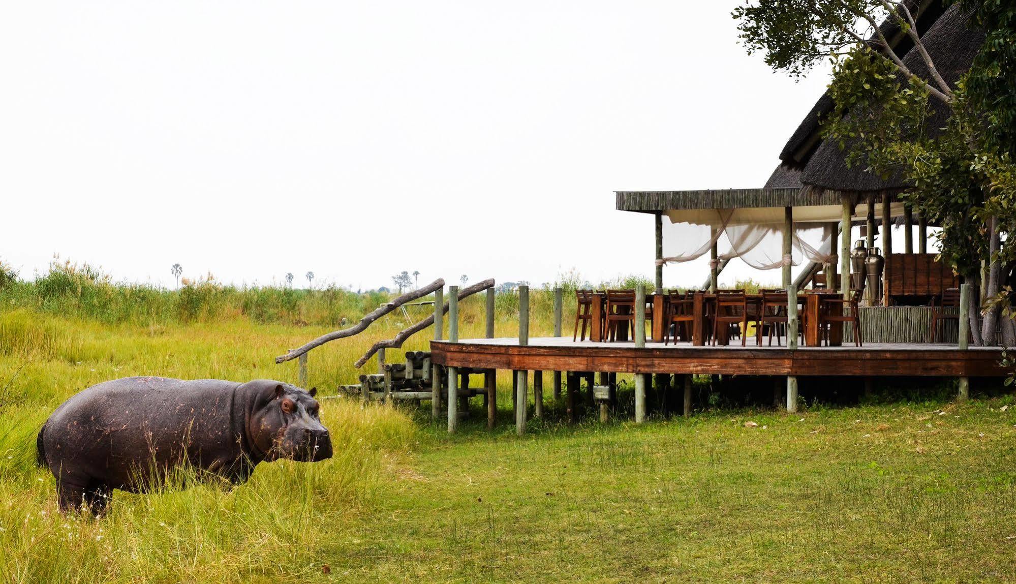Selinda Camp Hotel Selinda Reserve Bagian luar foto