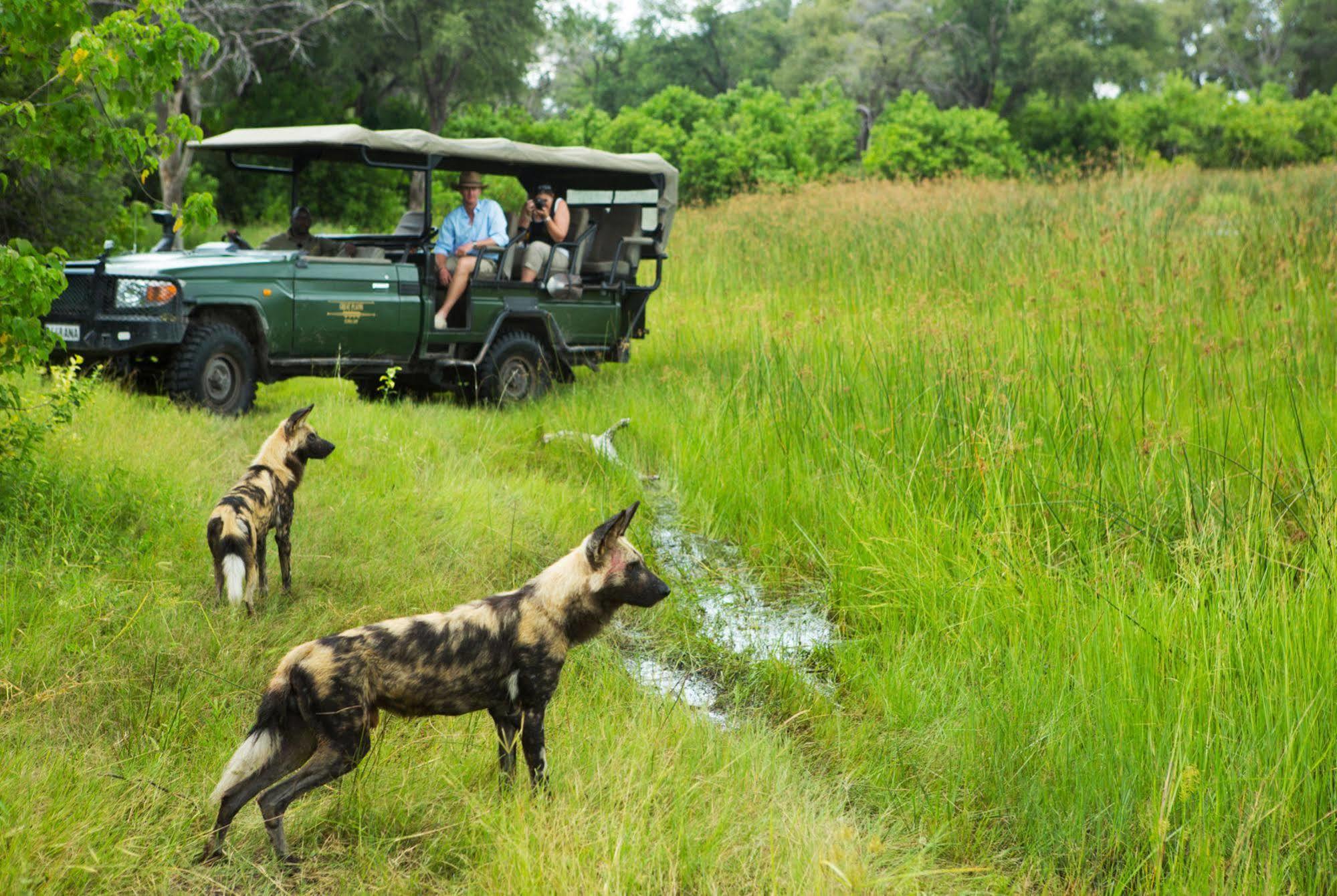 Selinda Camp Hotel Selinda Reserve Bagian luar foto